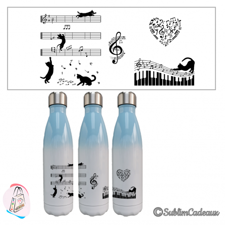 "Chat & musique"