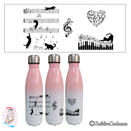 "Chat & musique"