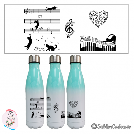 "Chat & musique"