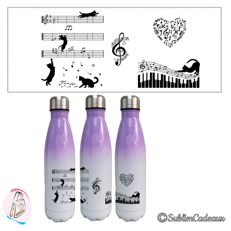 "Chat & musique"