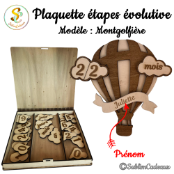 Pancarte Montgolfière...