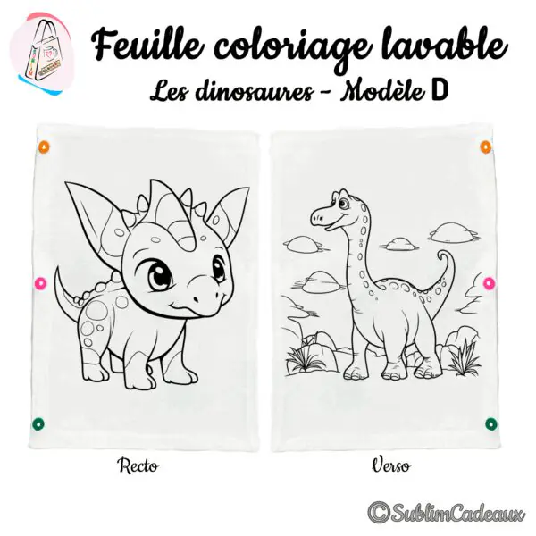 Motif au trait noir sur feuille de coloriage lavable, un dinosaure à collerette et un dino au long cou, recto verso