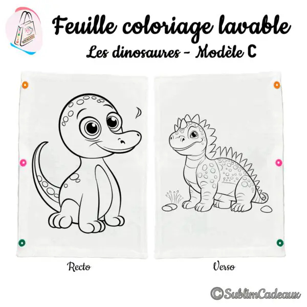 Dessin au trait noir à colorier sur tissu blanc, un dinosaure au long cou et un dino au dos hérissé, recto verso