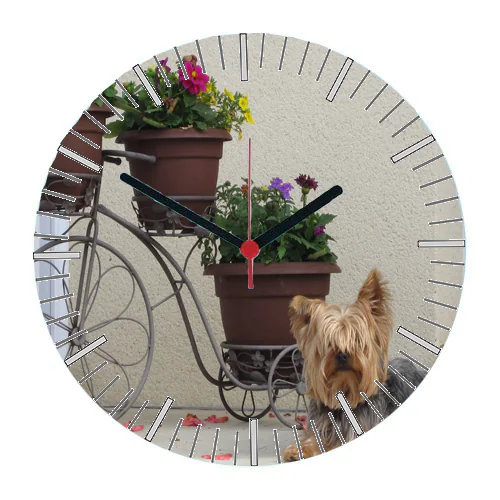 Horloge murale en verre imprimée d'un vélo fleuri et d'un petit chien Yorkshire, aiguilles noires et trotteuse rouge