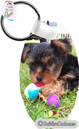 Porte-clés ovale avec photo à personnaliser, exemple d'un chiot yorkshire dans l'herbe et œufs colorés